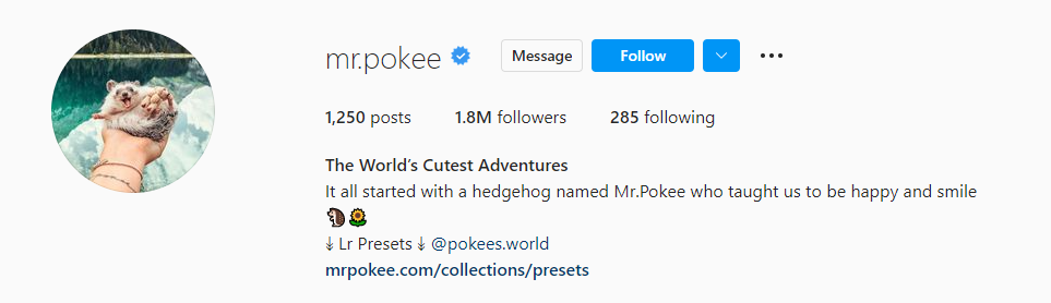 Screenshot of mr.pokee's instagram profile featuring an image of a hand holding a small hedgehog, a description, message/follow buttons and the caption: The World's Cutest Adventures.