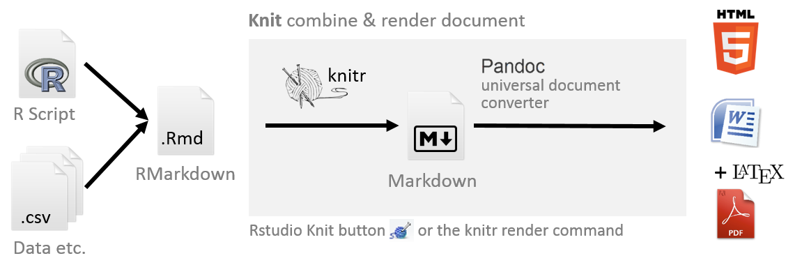 Diagram showing the creation of multiple document formats from R Markdown file containing a .csv data file and R Script.
