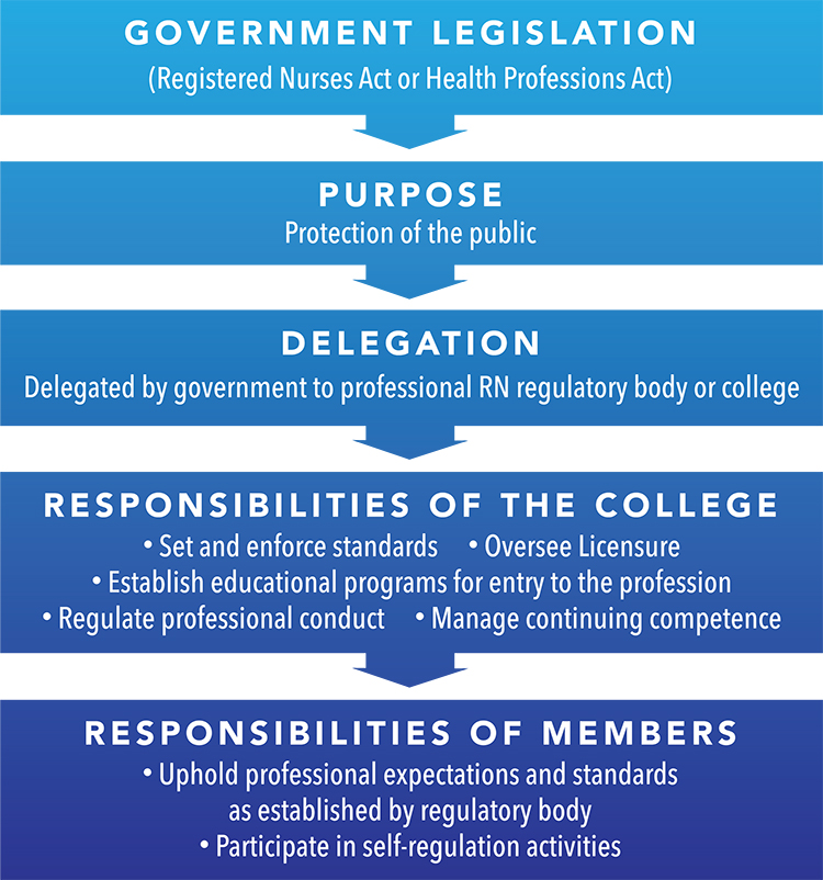 professional self-regulation, legislation, delegation, responsibilities